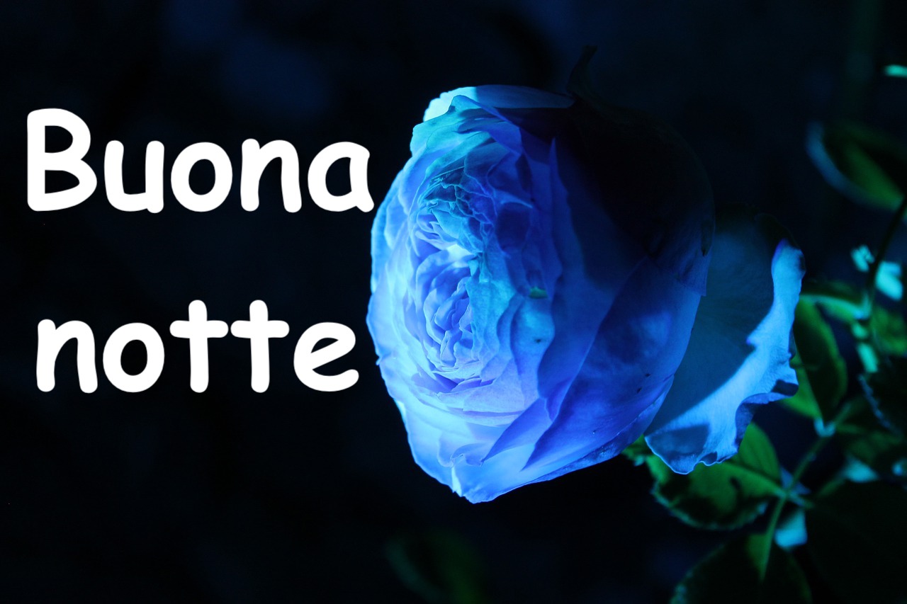 una bella rosa blu per una buonanotte speciale a chi vogliamo bene